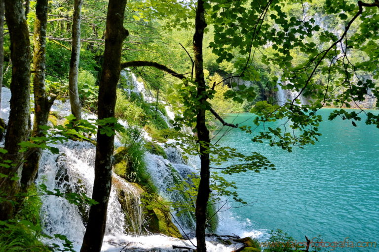 Lagos De Plitvice, Un Paraíso De Aguas Verdes Y Celestes En Croacia