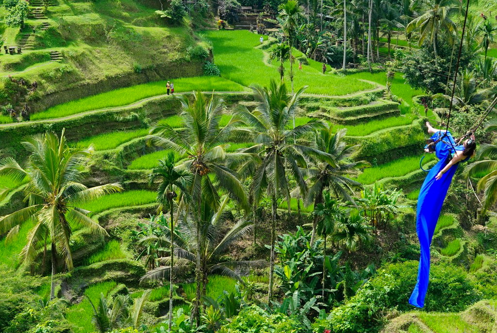 ubud-ricefields