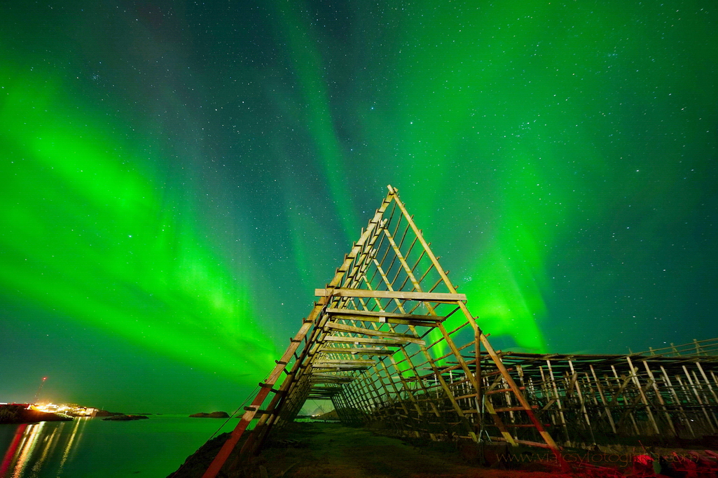 lofoten-aurora-boreal-3