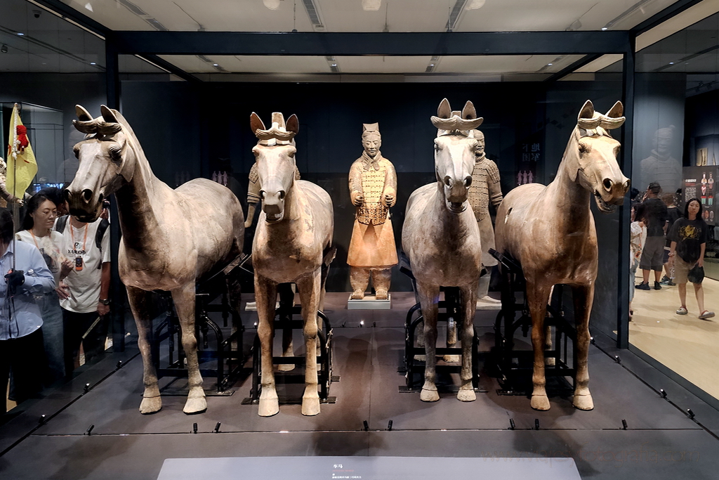 guerreros-de-terracota-museo-2