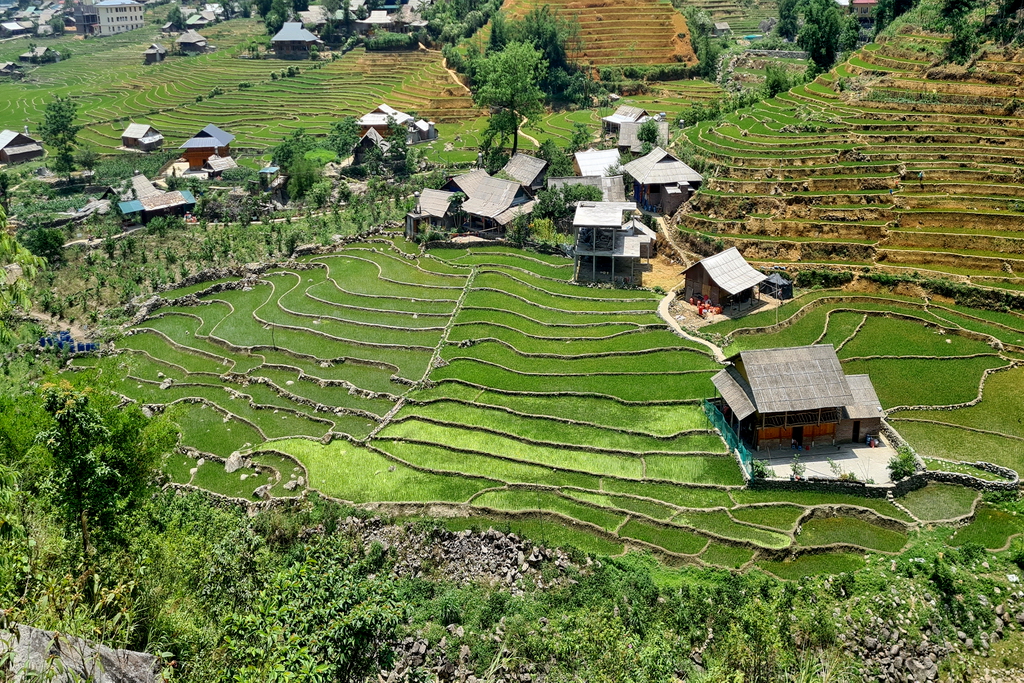 sapa-village