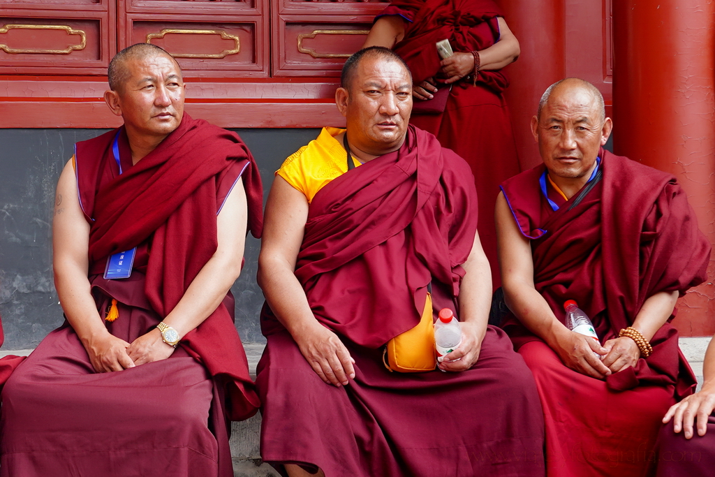 templo-lama-pekin-monjes