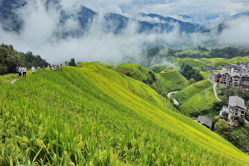 longji-espalda-del-dragon