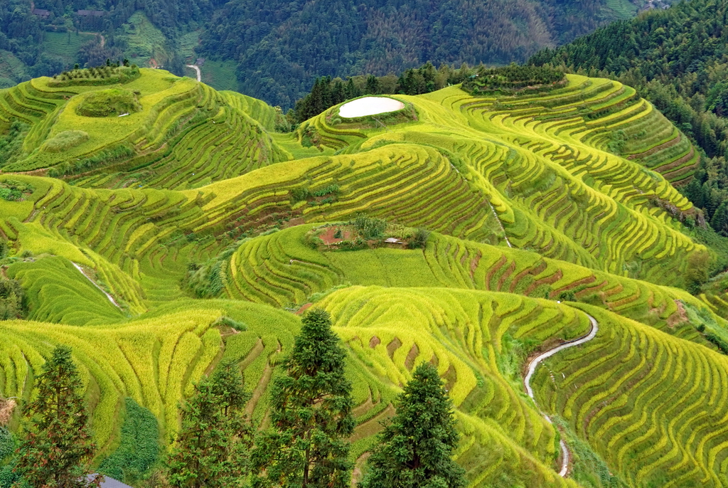 longji-terrazas-de-arroz